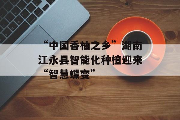 “中国香柚之乡”湖南江永县智能化种植迎来“智慧蝶变”-第1张图片-