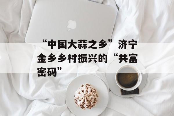 “中国大蒜之乡”济宁金乡乡村振兴的“共富密码”-第1张图片- “中国大蒜之乡”济宁金乡乡村振兴的“共富密码”-第1张图片-