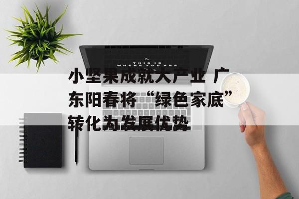 小坚果成就大产业 广东阳春将“绿色家底”转化为发展优势-第1张图片-