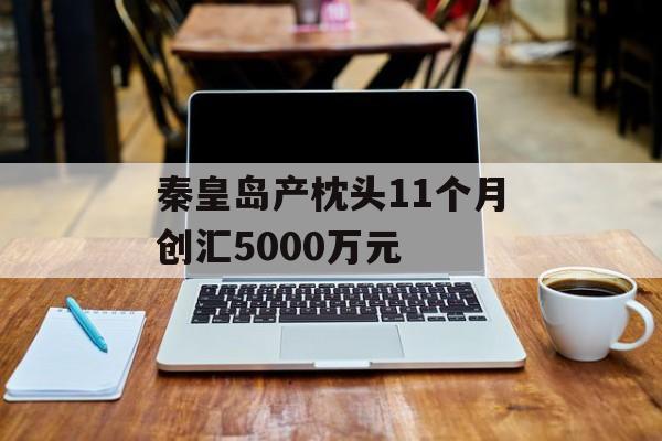 秦皇岛产枕头11个月创汇5000万元-第1张图片-